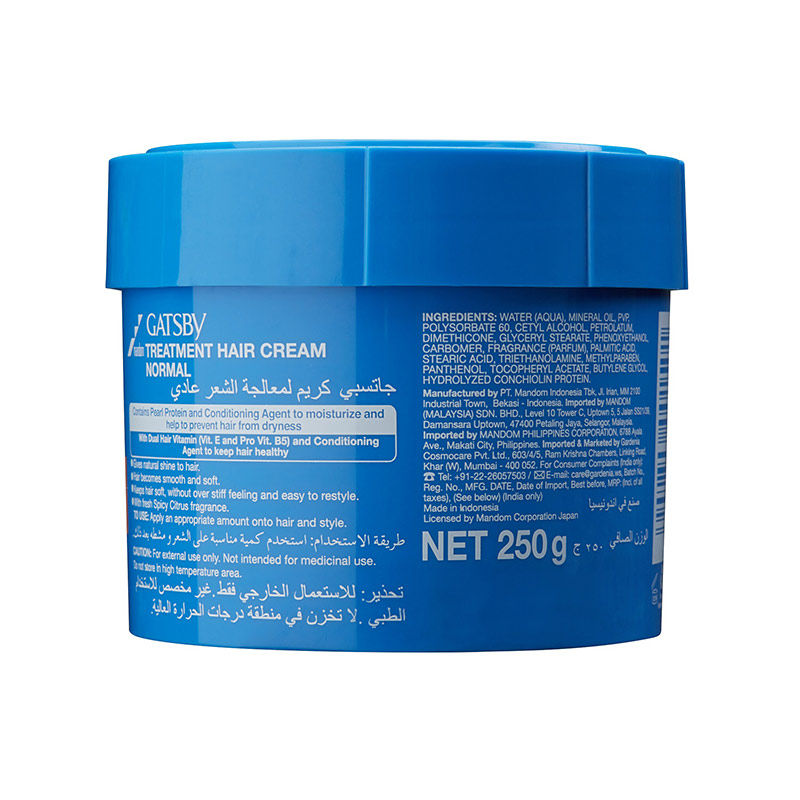 Gatsby Treatment Hair Cream Normal, 250g Buy at Indicrest Image 2