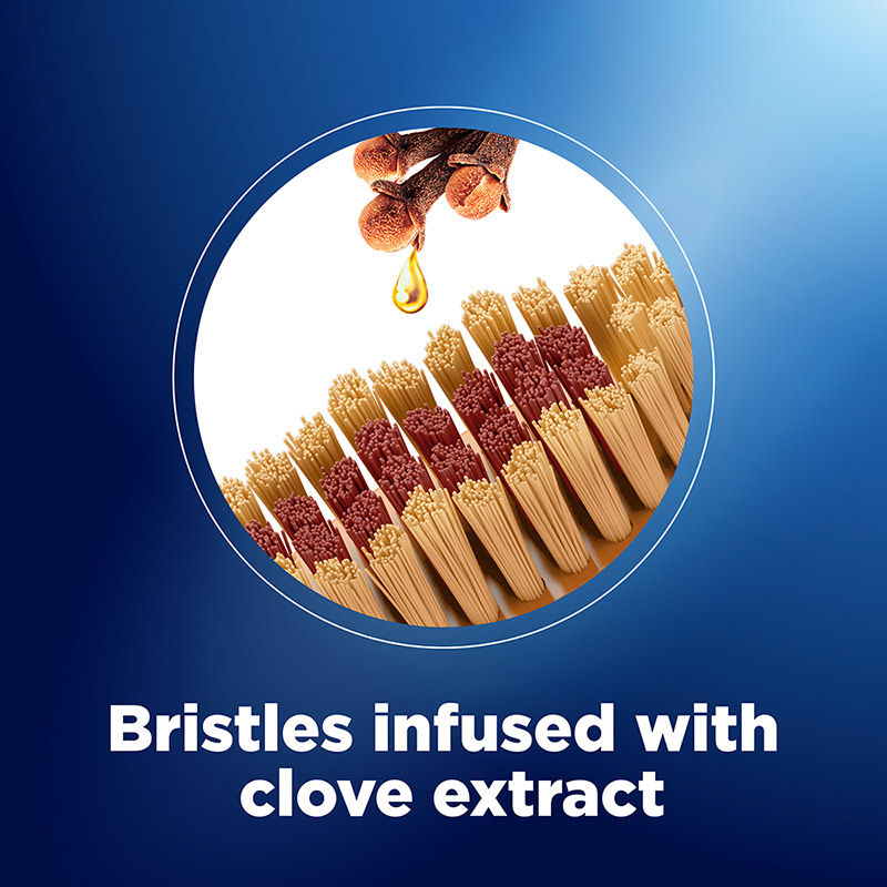 Oral-B Gentle Care Toothbrush with Clove Extract, Extra Soft (Buy 2 Get 1 Free) Buy at Indicrest Image 3