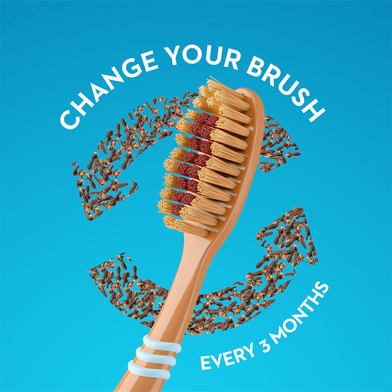Oral-B Gentle Care Toothbrush with Clove Extract, Extra Soft (Buy 2 Get 1 Free) Buy at Indicrest Image 7