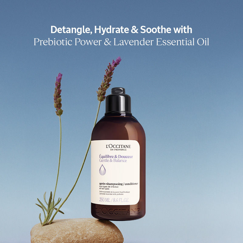 L'Occitane Gentle & Balance Conditioner, 250ml