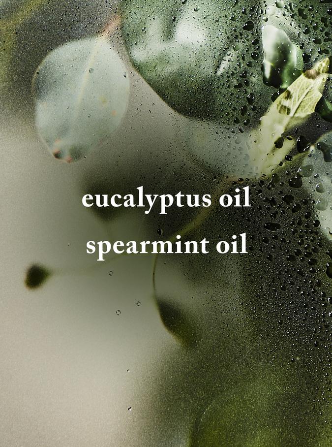 Bath & Body Works Eucalyptus Spearmint Essential Oil Mist, 29 ml / 1 fl oz Buy at Indicrest Image 2