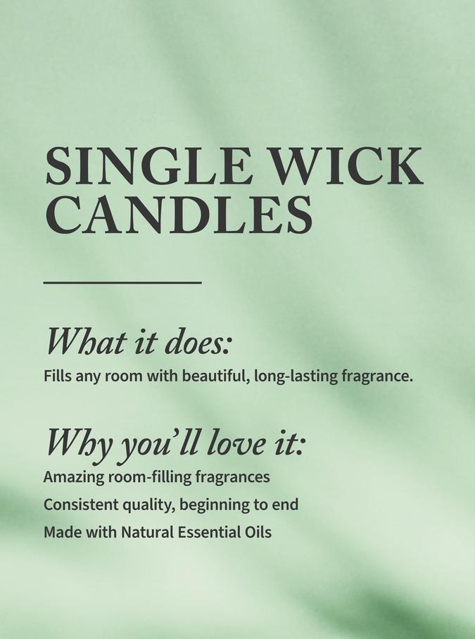 Bath & Body Works Frozen Lake Single Wick Candle, 227 g / 8 oz Buy at Indicrest Image 2