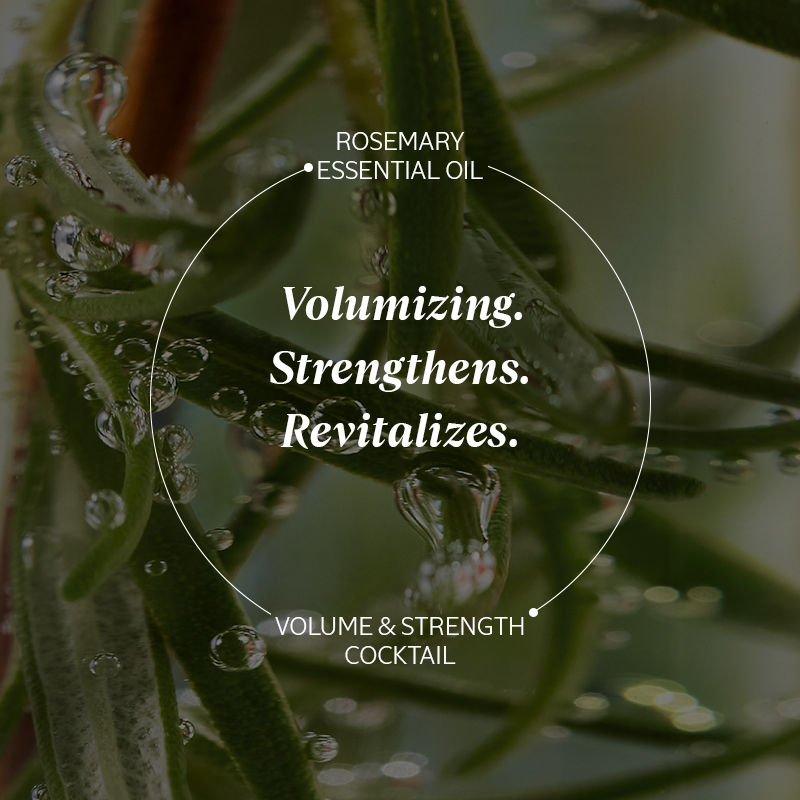 L'Occitane Volume & Strength Shampoo, Travel Size, 75ml