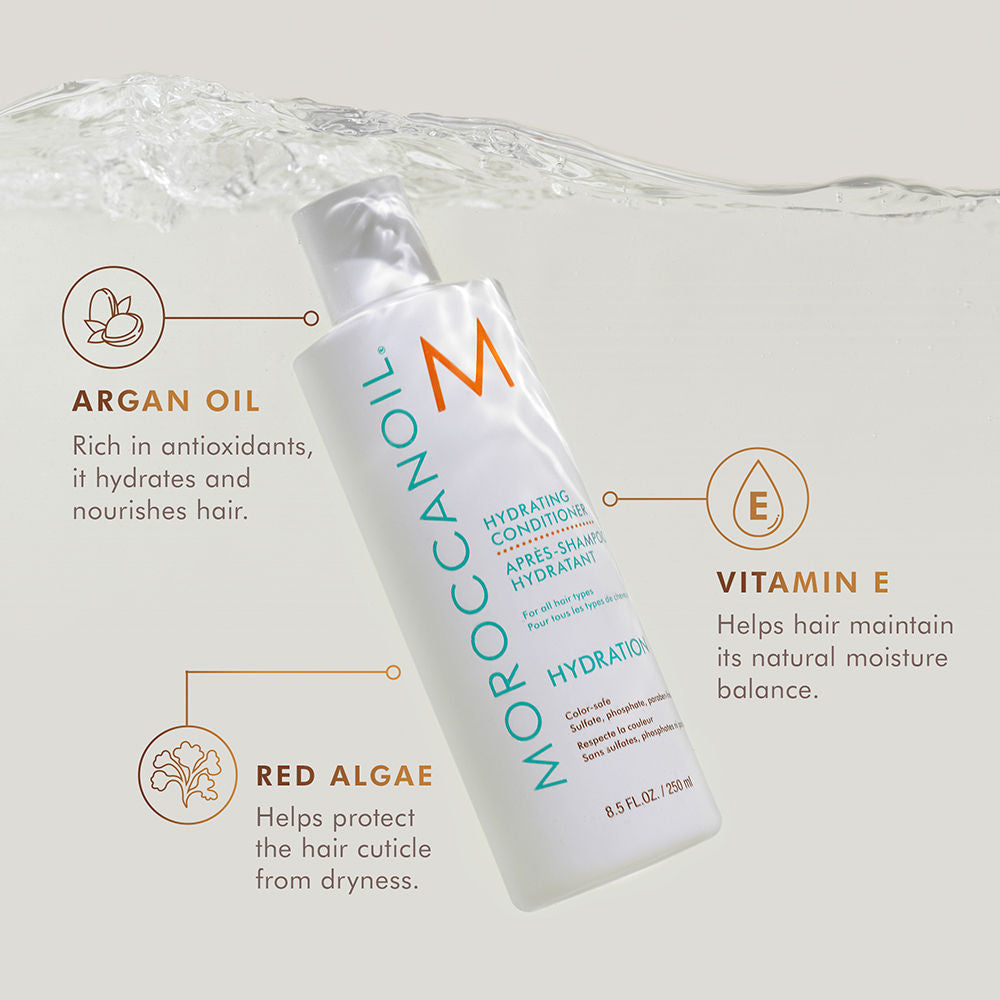Moroccanoil Hydrating Conditioner | Argan Oil, Vitamin A+E, Red Algae | Daily Use For All Hair Types, 250ml