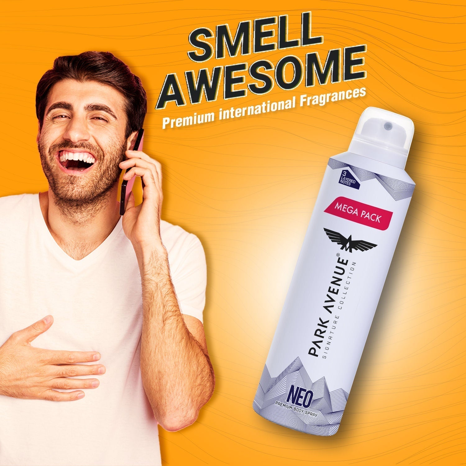 Park Avenue Mega Pack Signature Deo Neo, 167g Buy at Indicrest Image 3
